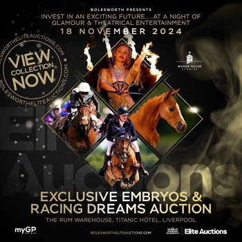 Bolesworth Elite Auctions Presents – 